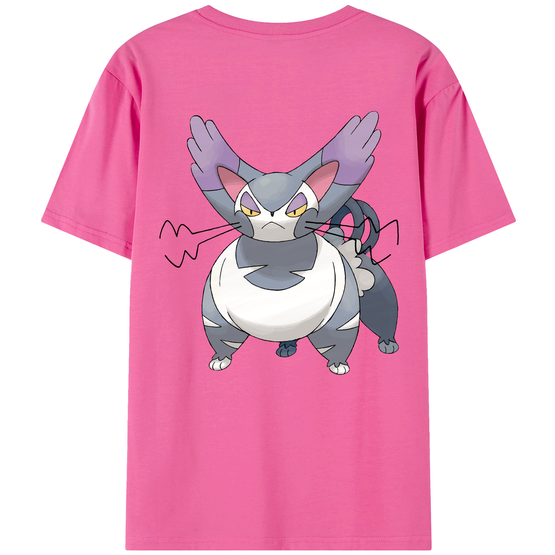 （画像用） ポケットモンスター Pokémon レディース半袖Tシャツ(バックプリント)